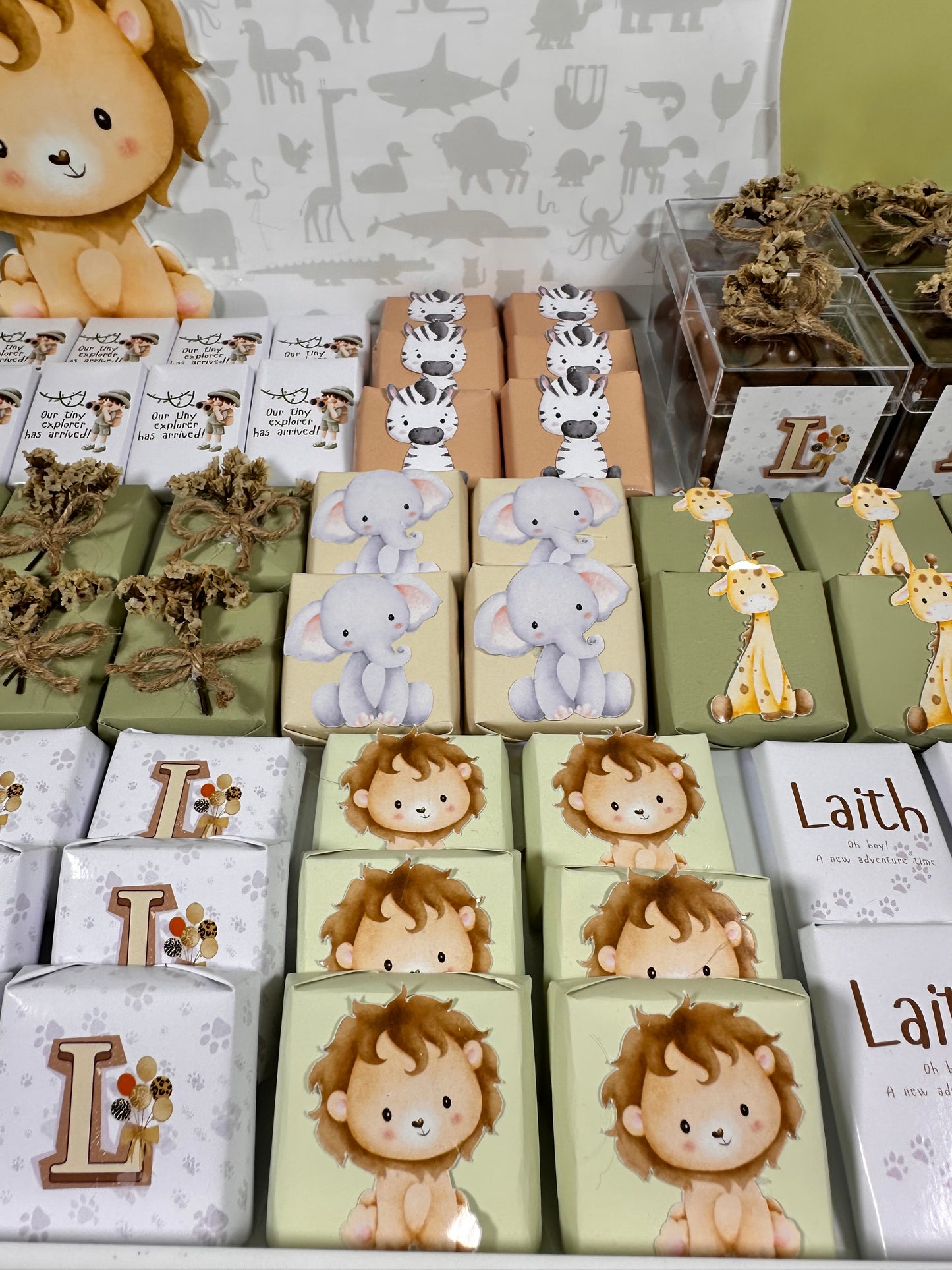 Baby Boy Safari Theme