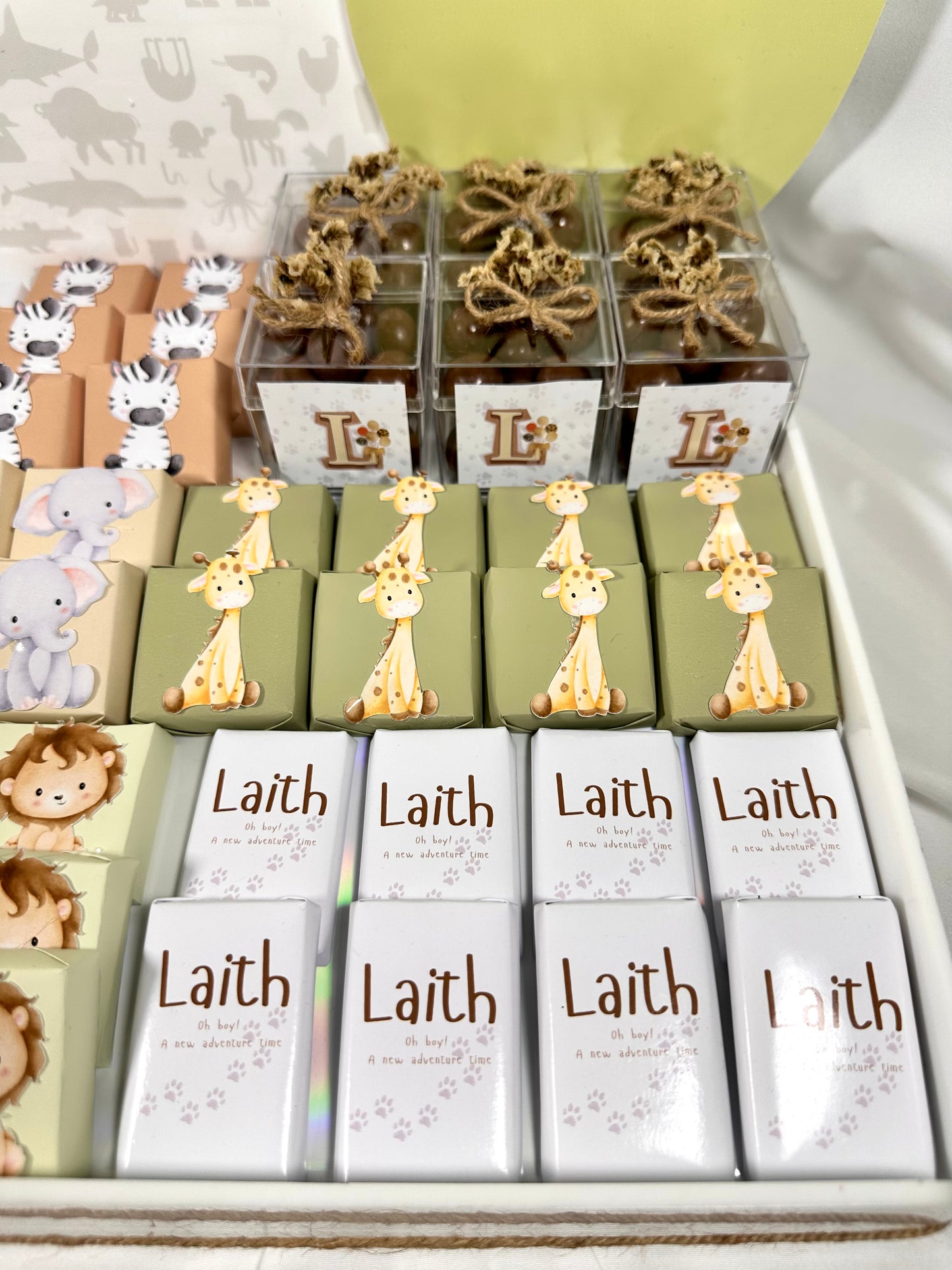 Baby Boy Safari Theme